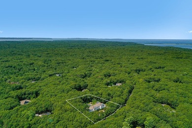 This beautifully crafted, extraordinary private and quiet Modern - photo 3