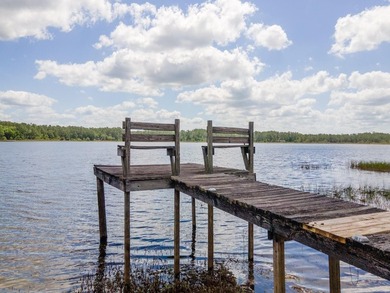 23191 NE 112 Court Road Fort McCoy, FL 32134: Your Slice of - photo 36