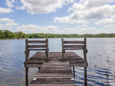 23191 NE 112 Court Road Fort McCoy, FL 32134: Your Slice of - photo 46