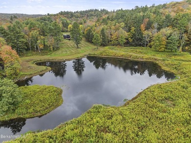 Fabulous Property with ponds, rushing streams, huge acreage & a - photo 2