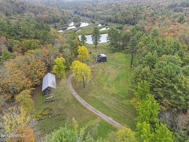 Fabulous Property with ponds, rushing streams, huge acreage & a - photo 3