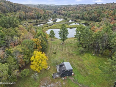 Fabulous Property with ponds, rushing streams, huge acreage & a - photo 4