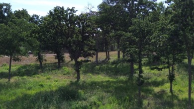 1 Acre Lot with Over 300 Foot of Waterfront - photo 8