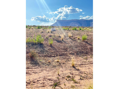 Virgin River Lot For Sale in Virgin Utah