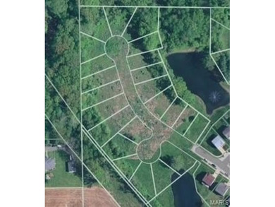 Incredible building/development opportunity! Westhaven Meadows - photo 4