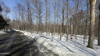 New Construction!! Three bedroom contemporary chalet to be built - photo 8