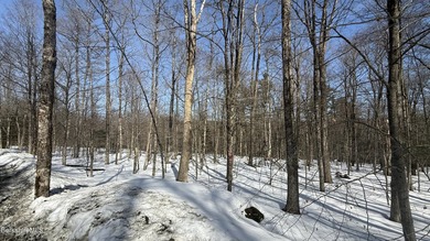 New Construction!! Three bedroom contemporary chalet to be built - photo 9
