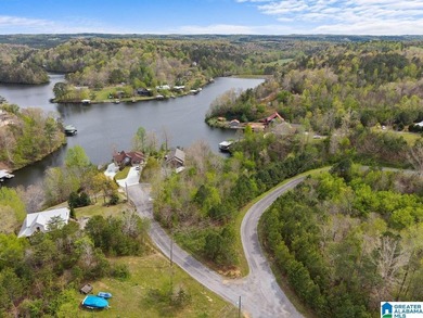 Waterfront property in the town of Highland Lake priced to sell! - photo 1