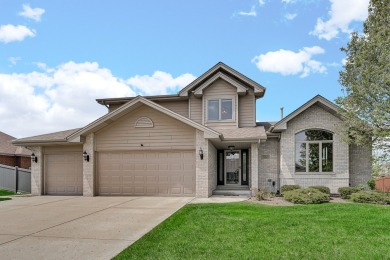 Lake Home Sale Pending in Tinley Park, Illinois