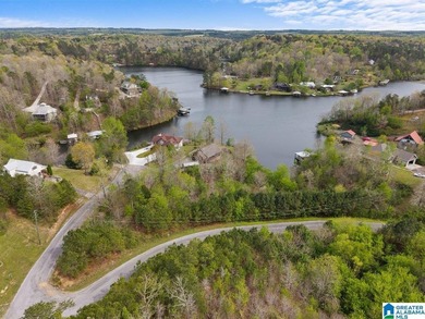 Waterfront property in the town of Highland Lake priced to sell! - photo 4