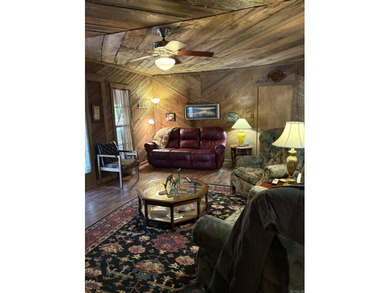 2 Lots for the price of 1! Arkansas fieldstone lake house - - photo 27