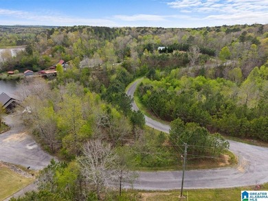 Waterfront property in the town of Highland Lake priced to sell! - photo 8