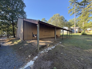 2 Lots for the price of 1! Arkansas fieldstone lake house - - photo 42