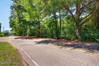 Gorgeous Acreage * Partially Cleared * Residential Estate Zoning - photo 2
