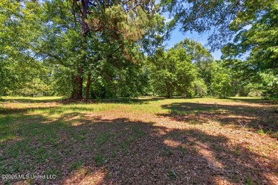 Gorgeous Acreage * Partially Cleared * Residential Estate Zoning - photo 4