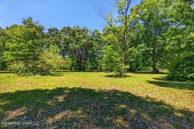 Gorgeous Acreage * Partially Cleared * Residential Estate Zoning - photo 5