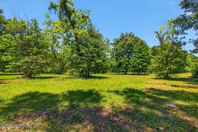 Gorgeous Acreage * Partially Cleared * Residential Estate Zoning - photo 6