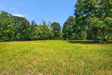 Gorgeous Acreage * Partially Cleared * Residential Estate Zoning - photo 8