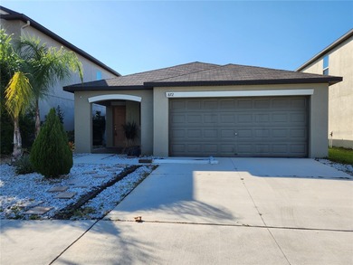 (private lake, pond, creek) Home For Sale in Ruskin Florida