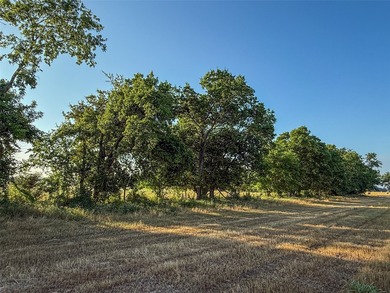 Positioned along the future shoreline of Lake Ralph Hall, one of - photo 20