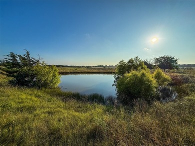 Positioned along the future shoreline of Lake Ralph Hall, one of - photo 22