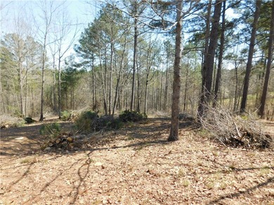 Lake Keowee Lot For Sale in Salem South Carolina