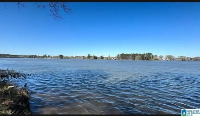 LAY LAKE MAIN CHANNEL LOT! Exceptional Views, Drive is in - photo 7