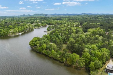 LAY LAKE MAIN CHANNEL LOT! Exceptional Views, Drive is in - photo 8