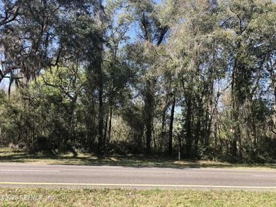 St. Johns River Acreage For Sale in San Mateo Florida