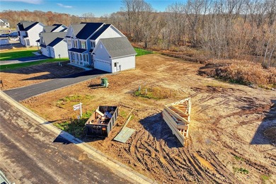 Antonelli Homes is a custom homebuilder. We can build ANY plan - photo 11