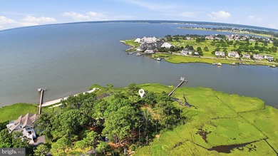 Experience the best of coastal Delaware living at this - photo 11