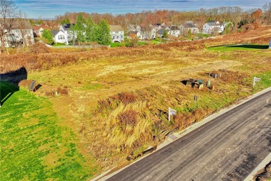Antonelli Homes is a custom homebuilder. We can build ANY plan - photo 12