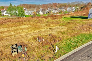 Antonelli Homes is a custom homebuilder. We can build ANY plan - photo 13