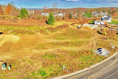 Antonelli Homes is a custom homebuilder. We can build ANY plan - photo 15