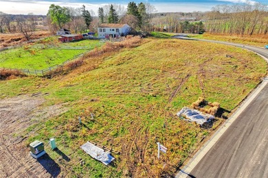 Antonelli Homes is a custom homebuilder. We can build ANY plan - photo 16