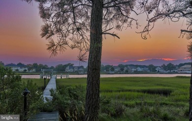 Experience the best of coastal Delaware living at this - photo 20