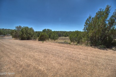 Lake Lot For Sale in Show Low, Arizona