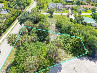 Build your dream home on this oversized canal-front lot located - photo 22