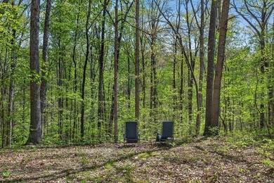 LAKE MONROE! GREAT FAMILY HOME, SUMMER LAKE HOUSE, OR TURN-KEY - photo 24