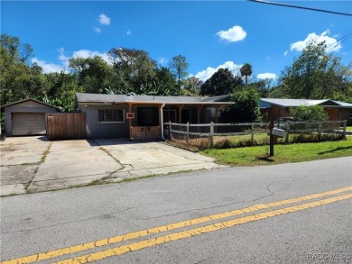 Lake Home For Sale in Inverness, Florida
