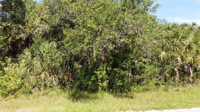 This is the land you have been waiting fore built next to some - photo 4