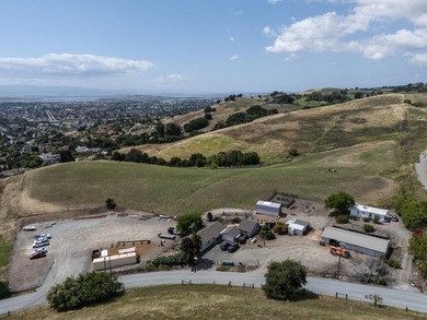 Set on approximately 10 rare acres of mostly flat to gently - photo 2