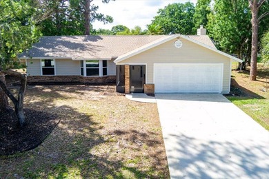 4 BR, 2 BA totally updated. Exterior features all new thermo - photo 1