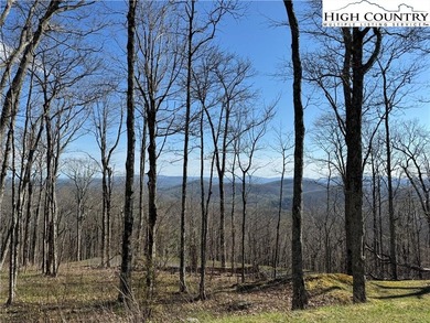 (private lake, pond, coastal) Acreage For Sale in Todd North Carolina