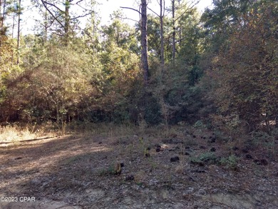 Beautiful lot that fronts on the 15th Fairway. This is a very - photo 2
