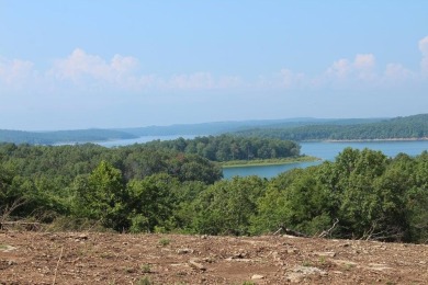 Norfork Lake Acreage For Sale in Henderson Arkansas