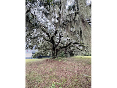 Build your coastal retreat in The Oaks at Winyah Bay, a charming - photo 25
