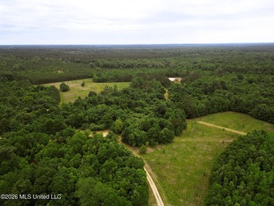 Land for sale in Amite County, MS. This beautiful 161-acre tract - photo 1