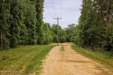 Land for sale in Amite County, MS. This beautiful 161-acre tract - photo 2