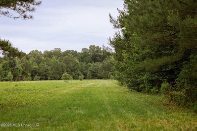 Land for sale in Amite County, MS. This beautiful 161-acre tract - photo 3